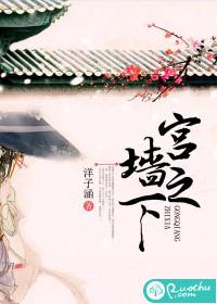 宫墙之下纪录片