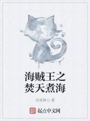 海贼王之飞天海贼