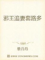 邪王追妻第二季动漫免费观看完整版
