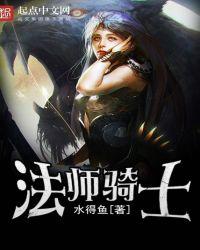 骑士法师
