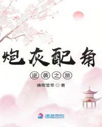 炮灰配角动漫