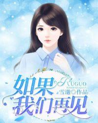 如果我们再相遇 歌词