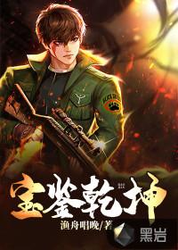 宝鉴乾坤姜子枫全文阅读