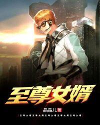 至尊女婿在线观看