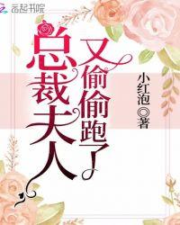 总裁夫人又走了