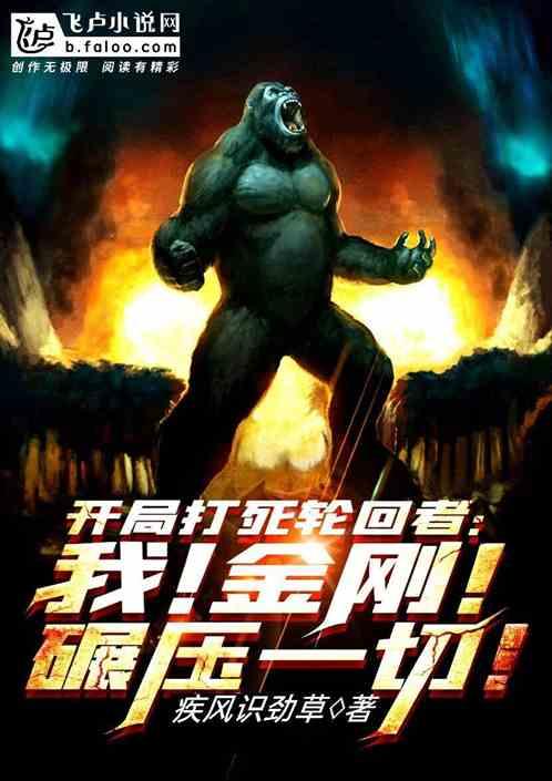 金刚 开局反杀轮回者