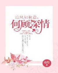 凉风知秋意何顾深情全文免费阅读