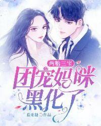 一胎二宝团宠娇妻