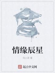 情辰什么意思