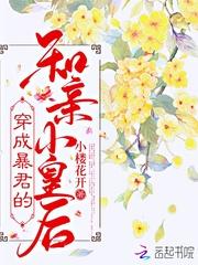 穿成暴君的和亲小皇后百度