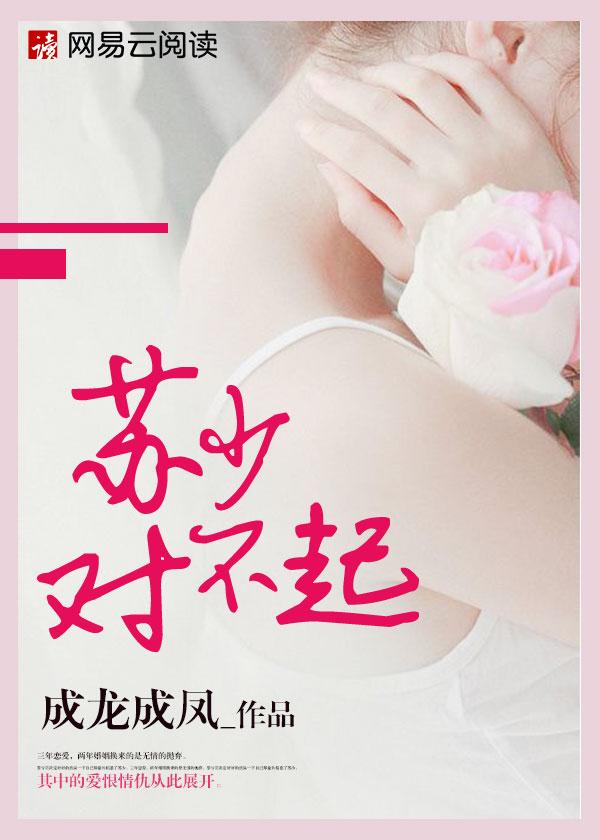 对不起结苏先生