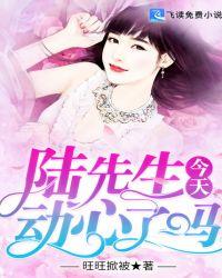 盛先生今天动心了吗免费阅读