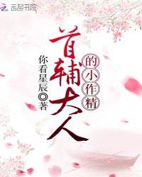 首辅大人的小作精 你看星辰