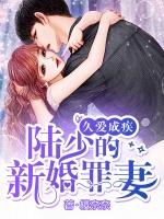 久爱成疾陆少的新婚罪妻免费全文阅读