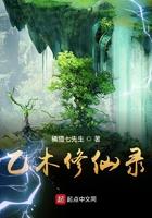 乙木修仙录txt电子书