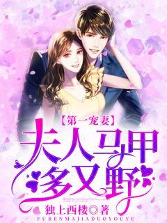 大佬夫人她人美路子野龙三爷