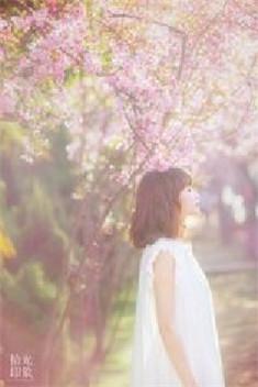 陆少蜜宠小甜心全文