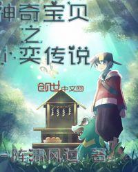 神奇宝贝之天狂传说第二季