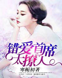 首席错爱简介