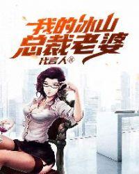 我的冰山总裁老婆林雪李清风