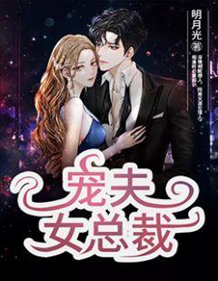 女总裁追夫记电视剧