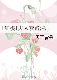红楼夫人套路深讲什么