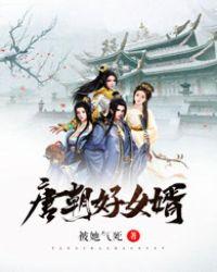 唐朝好女婿秦天唐蓉