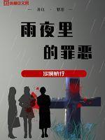 雨中的夜作文