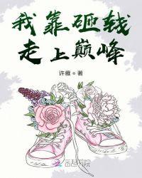 我靠砸钱走上巅峰txt