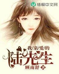 亲爱的陆先生bl