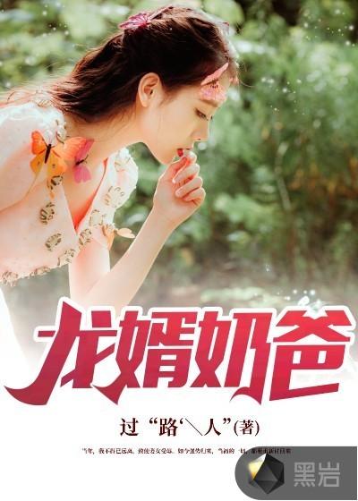 龙婿奶爸 过路人