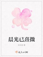 晨光熹微终明矣全文阅读