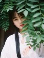 一胎九宝莫晓蝶陆晨旭txt