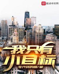 我有几个小目标