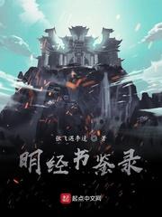 明经指什么