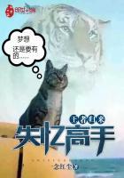 王者归来免费全文阅读完整版