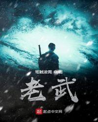 老武是什么兵