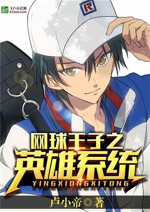 网球王子之英雄系统T