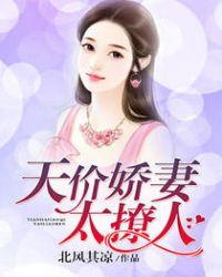 总裁的天价娇妻完整版