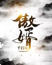 傲婿电视剧免费观看完整版