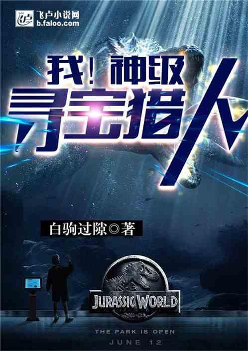 我 神级寻宝猎人