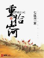 穿越大宋重铸山河的