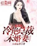我的冷艳总裁未婚妻秦玄羽方清舒