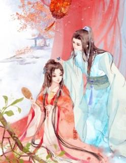 替嫁医妃百度百科