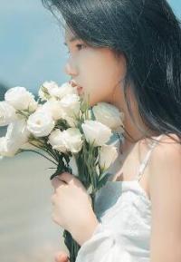 赠我星光一片海免费阅读