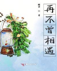 如果不曾相遇