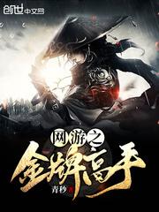 网游之顶尖高手