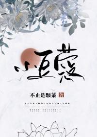 小豆蔻晋江文学