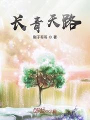 长青街快速路规划图