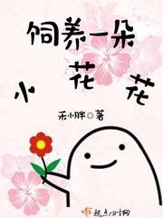 送你一朵小花花下一句